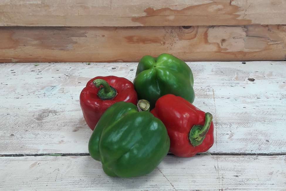 Poivrons Vert/ Rouge à Pépé 0.5kg | Les Serres à Pépé